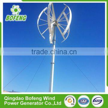 AAA Grade Durable Homemade 12v Vertical Axis Wind Generator Home photo-6