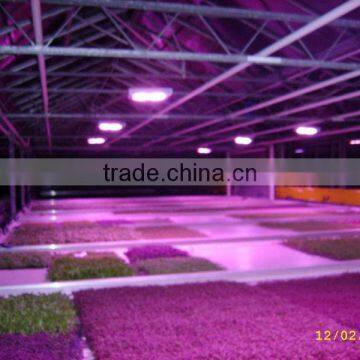 MarsHydro Waterproof ETL Certificated Led 60 Cm/120 cm Grow Bar photo-2