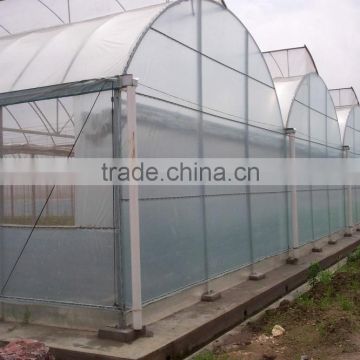 Hot-Dip Galvanized Steel Pipe Frame And 150mm PE Film Covered Multi-Span Greenhouse For Vegetables