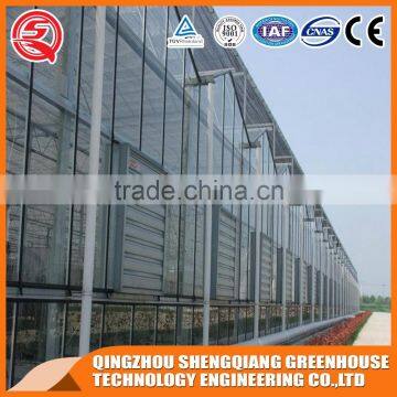 Multi-span Agriculture Glass Greenhouses Control Systems for Sale photo-2