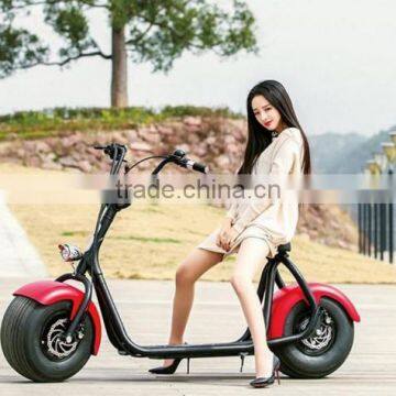 2017 Powerful High Speed Lithium Battery Citycoco 1000W Electric Scooter With LED photo-2