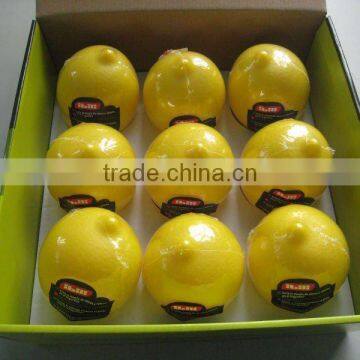 Plastic Fruit Lemon