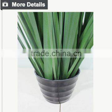 Home Decoration Species Potted Grass Wide Blade Grass Artificial Onion Grass for Appeciation photo-3