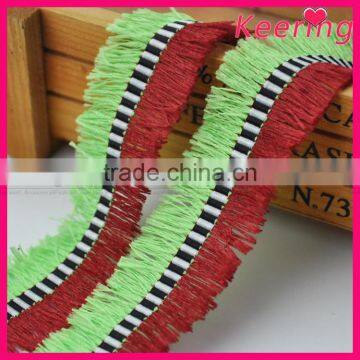 Hot Sale Tassel Fringe Trimming for Decoration WTPB-195