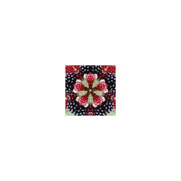 3 Piece of Telescope Xmas Magic Paper Toy Kaleidoscopes for any Promotion