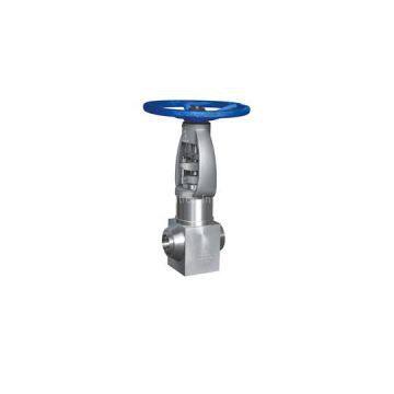 Forged steel globe valve of power plant valve