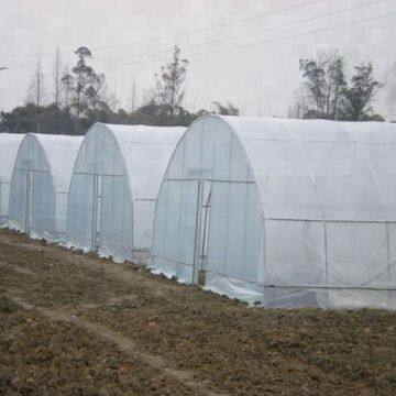 Single Span Plastic Film Tunnel Greenhouse