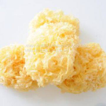 Tremella Drying Machine photo-4