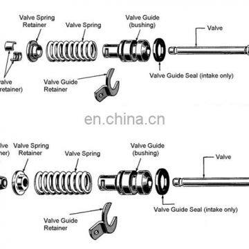 Dachai TCD2013 L06 4V Cylinder Valve Guide 04250074 for Bus Engine