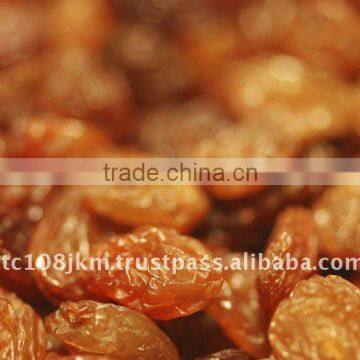 INDIAN GOLDEN RAISIN