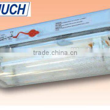 Small Explosion-Protected Light Fittings (Zone 1) - Germany