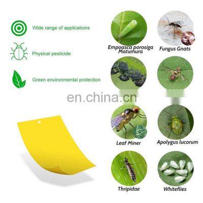 Lowest Price Pp Glue Board Pp Glued Fly Trap Agricultural Pp Insect Sticky Trap 20cm*15cm Blue