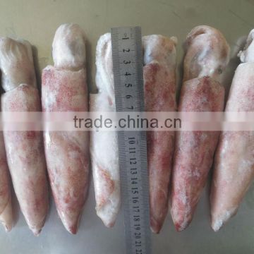 Frozen whole squid