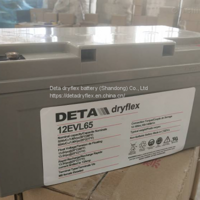 DETA dryflex 6VEL105 6V105Ah DETA Battery