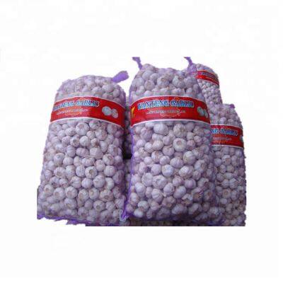 Venda em atacado de sacos de malha reutilizáveis de HDPE personalizados de 25kg e 50kg para cebolas, alho e legumes