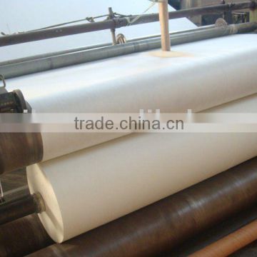 Nonwoven polyester mat in competitive price for waterproof material