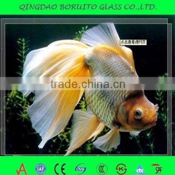 Transparent /tinted Glass/clear Float Glass 2mm-19mm photo-5