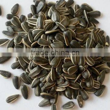 Sunflower seeds market price round type 1121