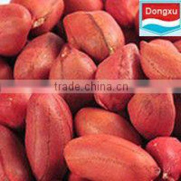 hot sale red peanut from china