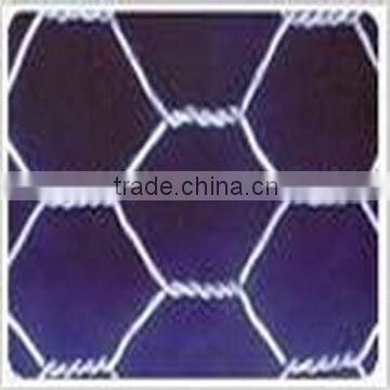 Hexagonal Wire mesh