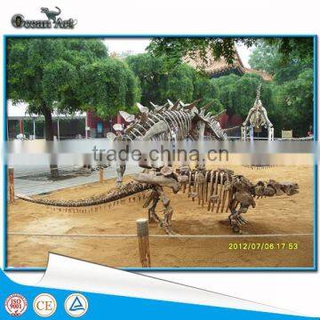 Museum High Quality Artificial Dinosaur Skeleton Resin Statues