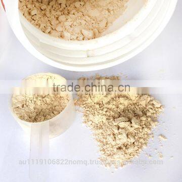 Wholesale Manufacturer High Nutrition Australian sports drink protein powder