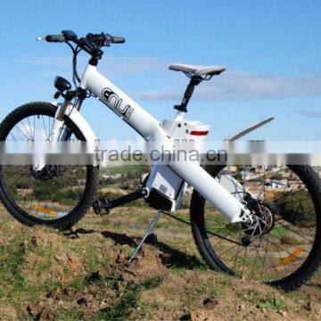 Environment friendly E-Bike---Seagull 26'' Hot seller in Europe