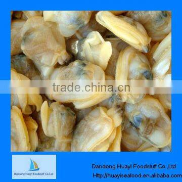 frozen boiled clam meat