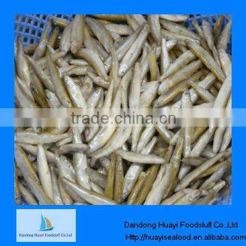 frozen whitebait fish