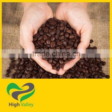 Excellent Arabica Coffee Bean from Vietnam