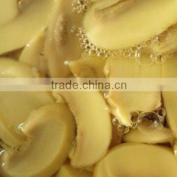 popular canned mushroom with best price from china