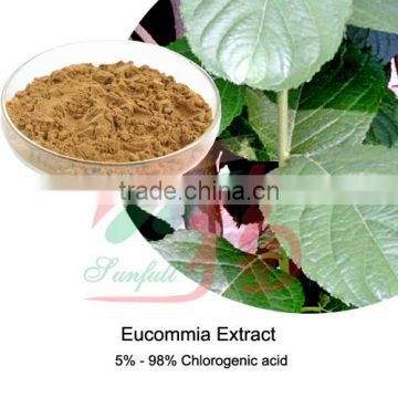 high quality Eucommia Extract 5% ~ 98% Chlorogenic acid in bulk