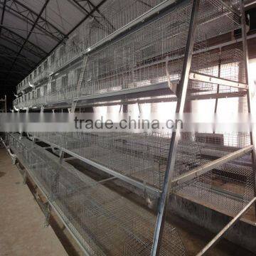 A-type cage for broiler and layer