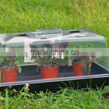 Constant Temperature propagator