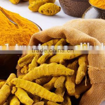 Tumeric finger from india