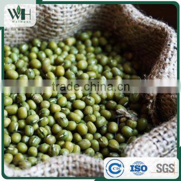 Machine Dressed Green Mung Bean photo-2