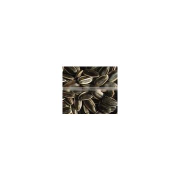 Pumpkin Seeds Sunflower Seeds Flaxseeds for sale