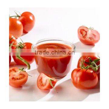 Chiness Canned Tomato Paste