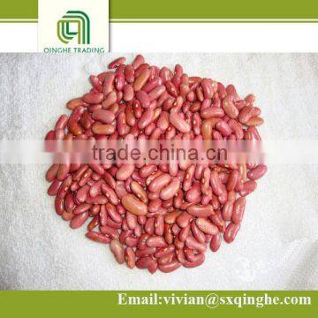 all kinds of beans, light red kidney beans, 2015 new kidney beans