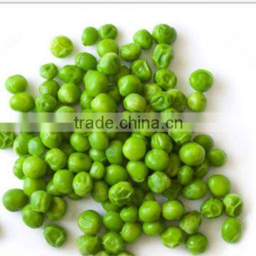 canned fried green peas in brine