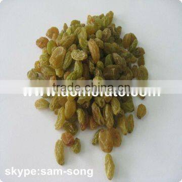 Big Size Sweet Green Raisin Hot Sale photo-6