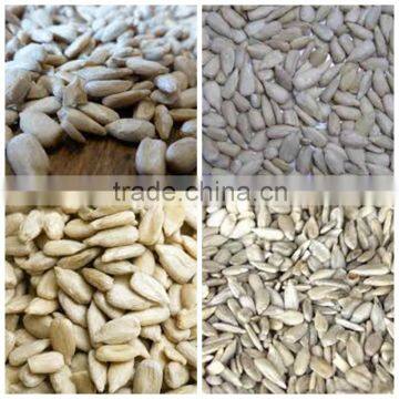 sunflower kernels confectionary grade organic market price sunflower seeds