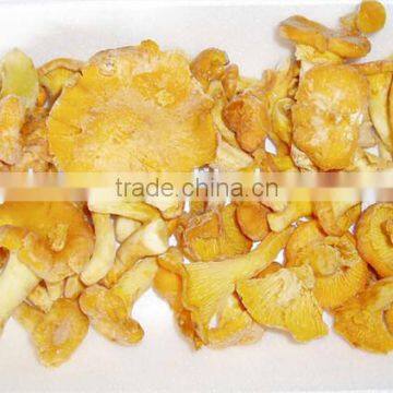 Dried Mushroom Cantharellus Cibarius photo-4