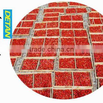 Sundried Tomato Organic Sun Dried Tomatoes For Sell photo-3