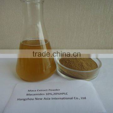 Pure Maca Powder Water Soluble Extract Ratio 4:1,Macamides 10% 40% HPLC photo-3