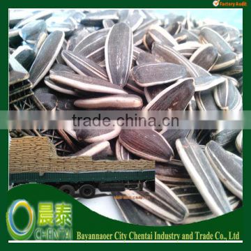 Wholesale Striped High Quality Hulled New Roasted Sunflower Seeds