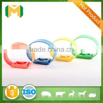 wholesale poultry farming cow identification leg band