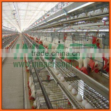 poultry farm house design A- type chicken cage for sale