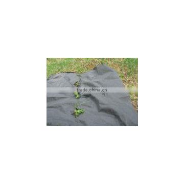 winter protect plant cover for garden and agriculture