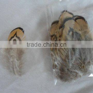 Fly Tying Feather Natural Feather photo-5